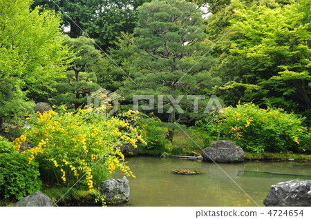 京都城南宮春天神社 京都城南宮春天神社 4724654