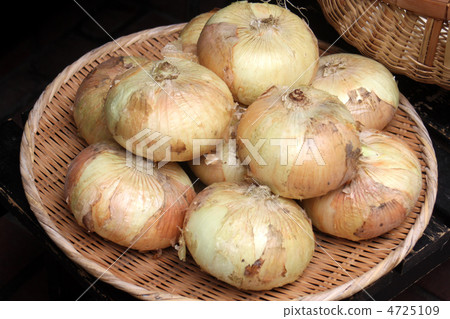 Onion Onion 4725109