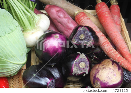 京都蔬菜 京都蔬菜 4725115