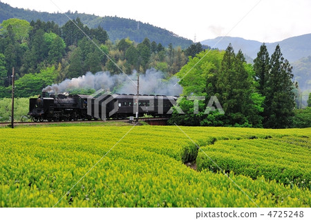 茶田和蒸汽機車 4725248