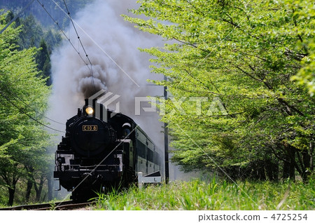 新鮮的綠色和SL 4725254