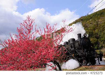 桃和蒸汽機車 4725273