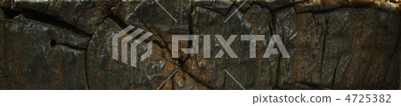 Background grain 4725382