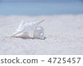 Shellfish 4725457