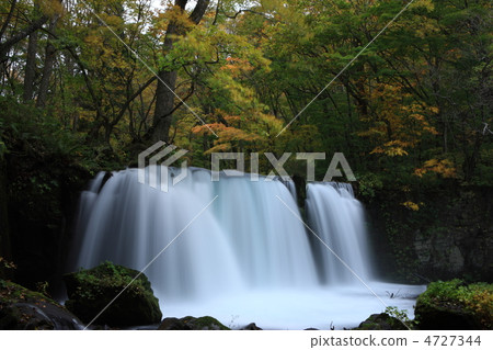 Choshi Otaki 4727344