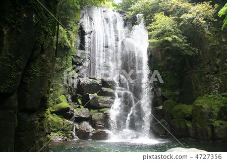Waterfall of Kuwano tree 4727356