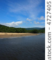 Nakagawa River Mangrove 4727405