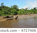 Nakagawa River Mangrove 4727406