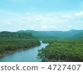 Nakagawa River Mangrove 4727407