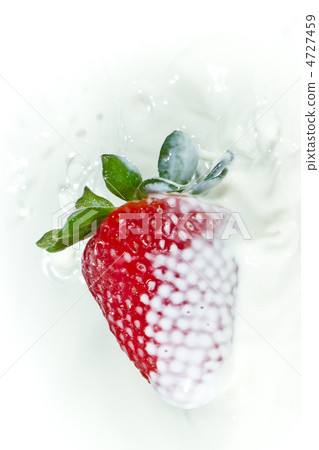 strawberry splashing into milk strawberry splashing into milk 4727459