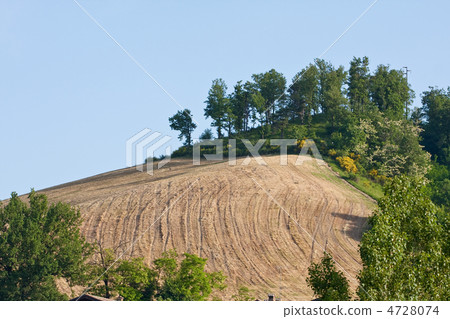 Typical Tuscan landscape Typical Tuscan landscape 4728074