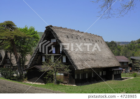 Fresh green Shirakawago Fresh green Shirakawago 4728985
