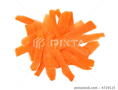 carrot carrot 4729115
