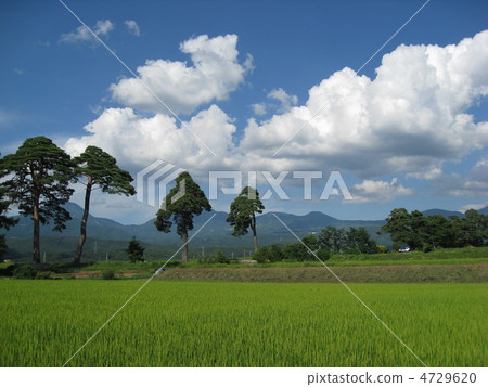 Summer mountain of Yatsugatake 4729620