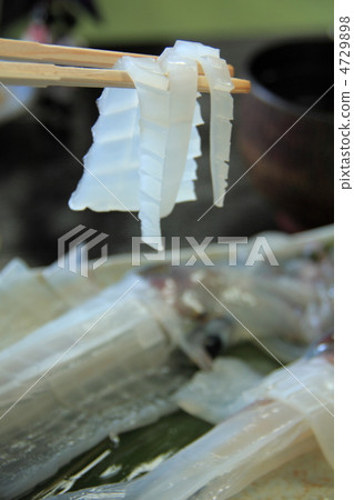 魷魚的建設 4729898