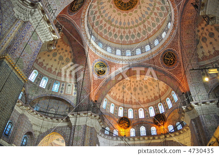 Jenimosk內部天花板 4730435