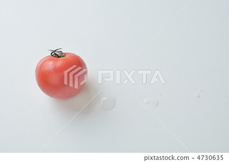 Tomato's foot afterwards Tomato's foot afterwards 4730635