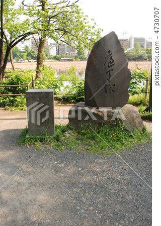位於Shinobazu Pond（上野帝國公園/東京都台東區）的Benten-jima的“廚房土墩” 4730707