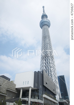 東京Sty樹 東京Sty樹 4730827