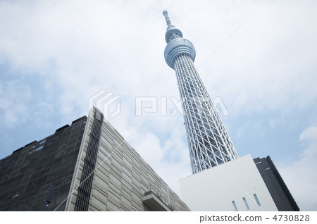 東京Sty樹 4730828