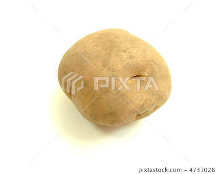 馬鈴薯（男爵） 4731028