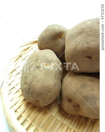 Potato (Baron) 4731030