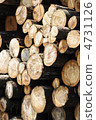 Log (timber) 4731126