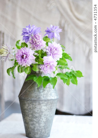 Clematis arrangement 4731354