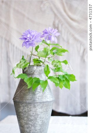 鐵線蓮玉髓 4731357