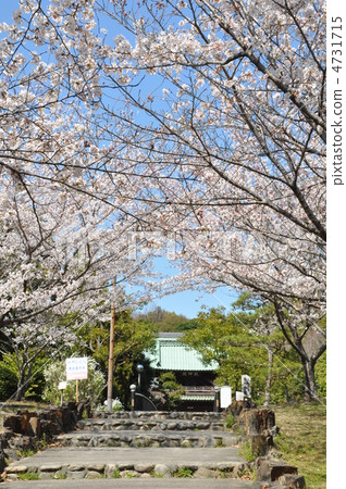 天地研究所 4731715