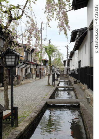 春天Hidafogawa河 4732838