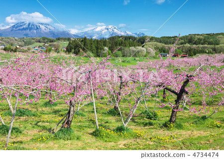 Nagano Iizuna Town Tangea Township 4734474