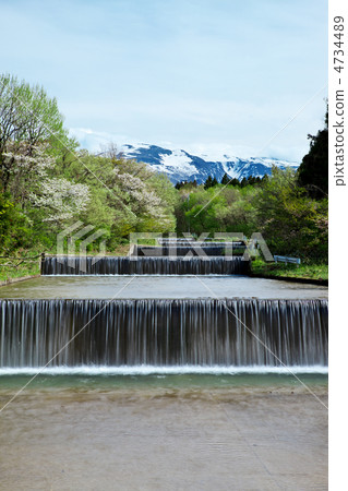 Akita Nakaho-shi 4734489