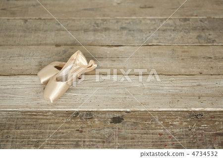 Toe shoes Toe shoes 4734532