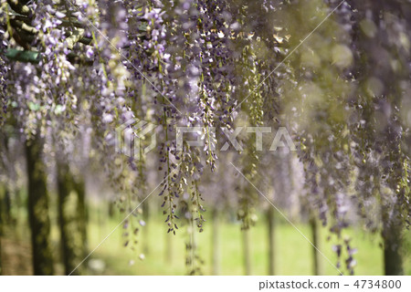 富士貨架 4734800