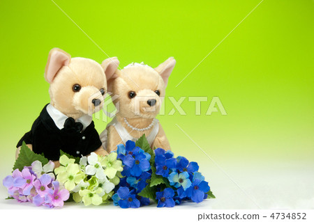 Dog stuffed toy bride and groom 4734852