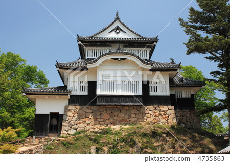 高橋市Bikinaku松山城 4735863