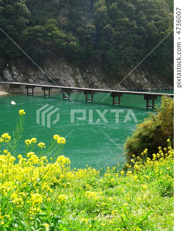 Iwama Submersible Bridge of Shimanto River in Shikoku Kochi Iwama Submersible Bridge of Shimanto River in Shikoku Kochi 4736007