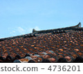 Roof in Mr. Miyara 4736201