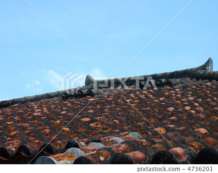 米亞拉先生的屋頂 4736201