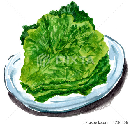 Santu 12511pix 4736306