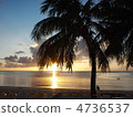 Dusk of Guam 4736537