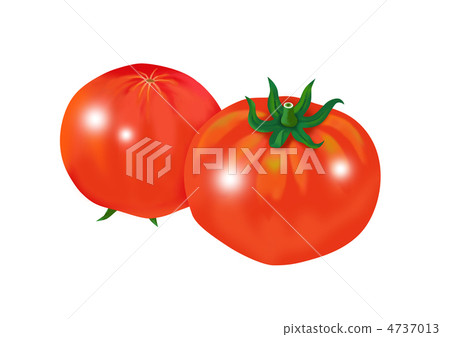 2個西紅柿 4737013