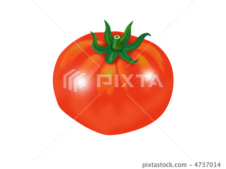 Fresh tomato Fresh tomato 4737014