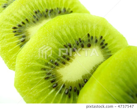 Kiwi  4737547