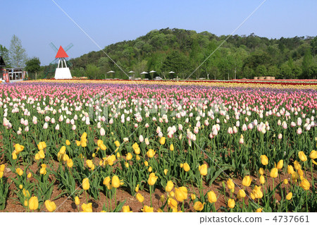 色拉高地農場1 4737661