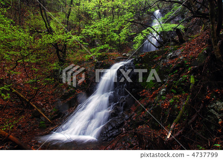 Forty Fixed Falls (Nakanojo Town, Gunma Prefecture) 4737799