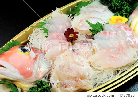 美味的海鯛生魚片 4737883