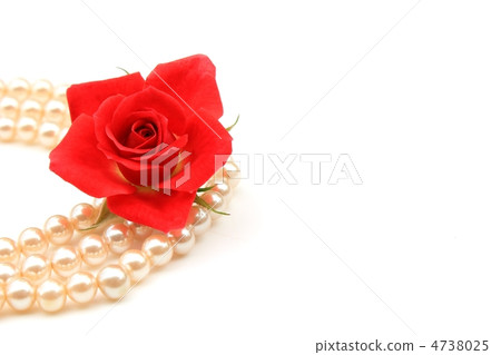 Red mini-roses and pearls 4738025