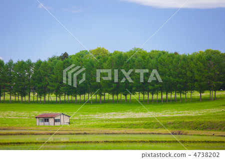 Work shack 4738202